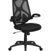 Top 10 🥰 High Back Black Mesh Executive Swivel Ergonomic Office Chair with Adjustable Lumbar, 2-Paddle Control and Flip-Up Arms - HL0013GG by Belnick 🎉