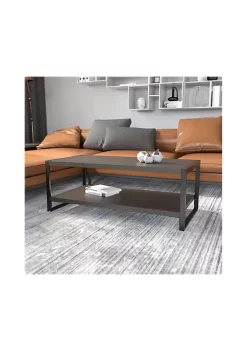 Cheapest 😍 Thompson Collection Charcoal Wood Grain Finish Coffee Table with Black Metal Frame - NANJH1731GG by Belnick ⭐