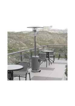 Belnick Sales Shop 21 Promo βοΈ Patio Outdoor Heating Silver Stainless Steel 40 000 BTU Propane Heater with Wheels for Commercial & Residential Use 7.5 Feet Tall by Belnick π