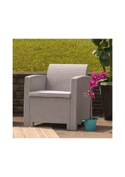 Best Pirce 🔔 Light Gray Faux Rattan Chair with All Weather Light Gray Cushion by Belnick 🌟