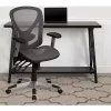 Best reviews of ✔️ Mid-Back Transparent Gray Mesh Multifunction Executive Swivel Ergonomic Office Chair with Adjustable Arms by Belnick 😍